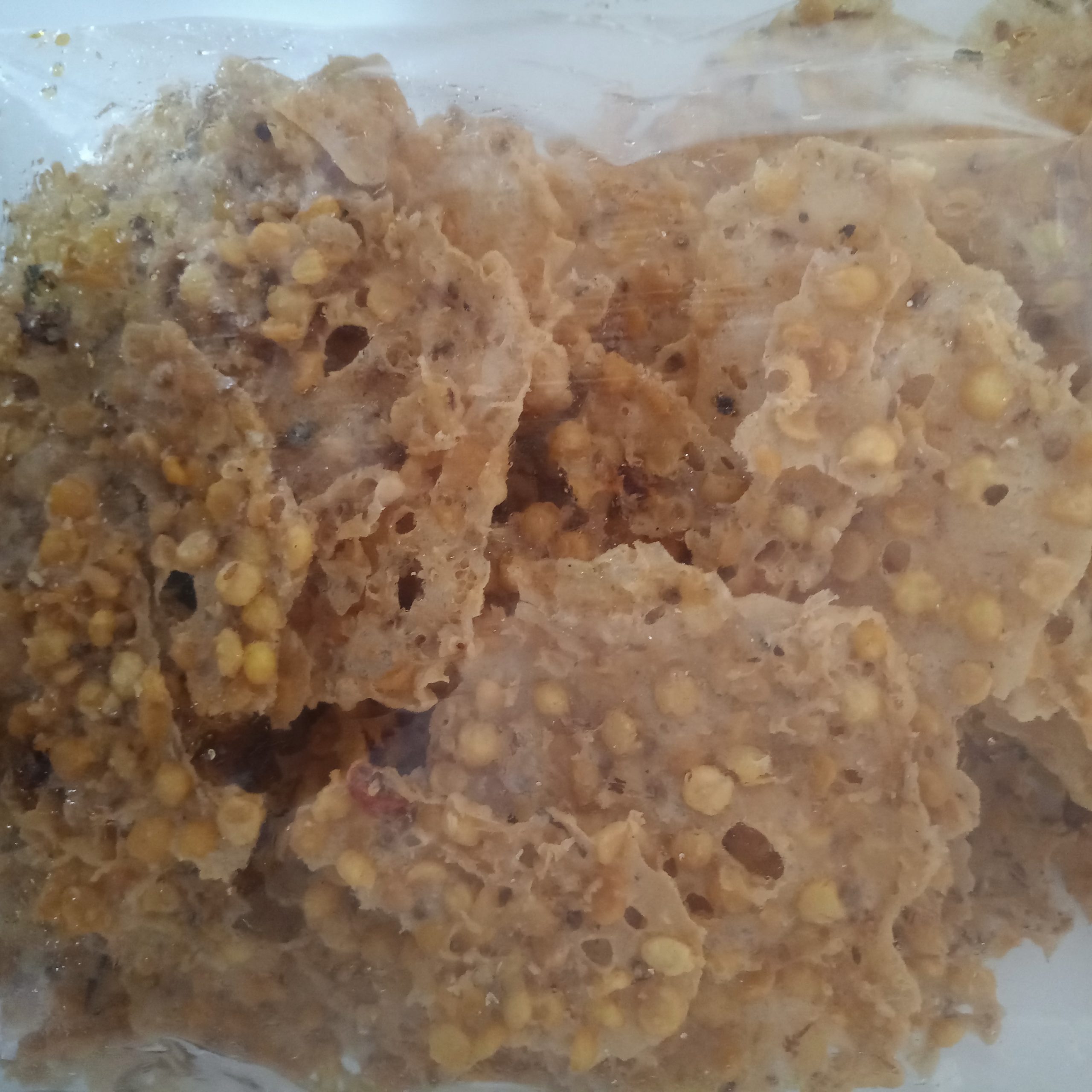Rempeyek Kacang Dhal Peket ZataFood