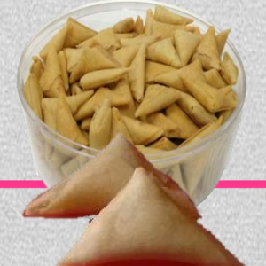 Samosa Ayam ZN